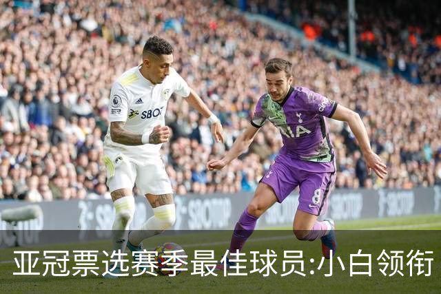亚冠票选赛季最佳球员:小白领衔 奥古比埃拉上榜